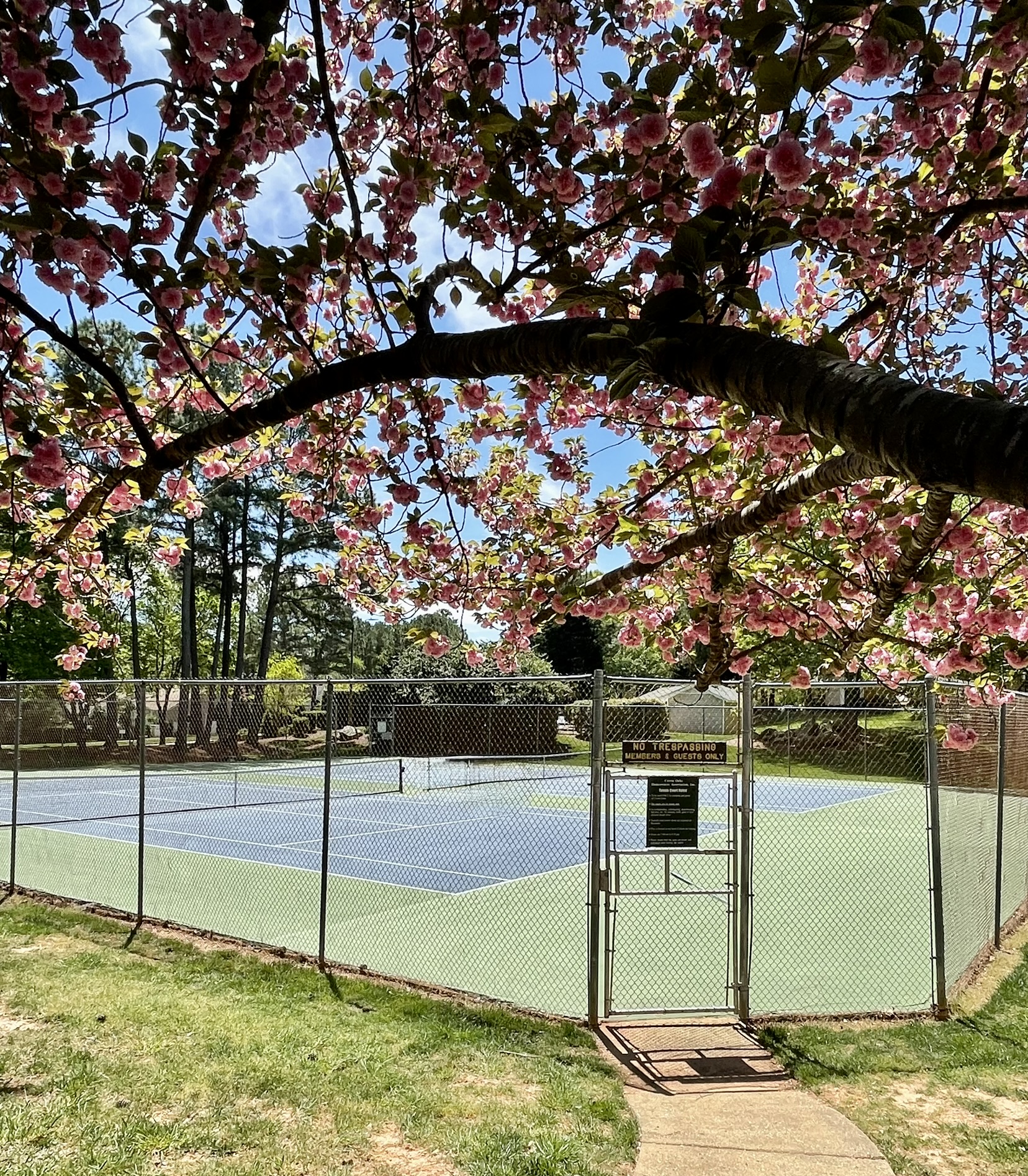 The Crown Oaks tennis courts